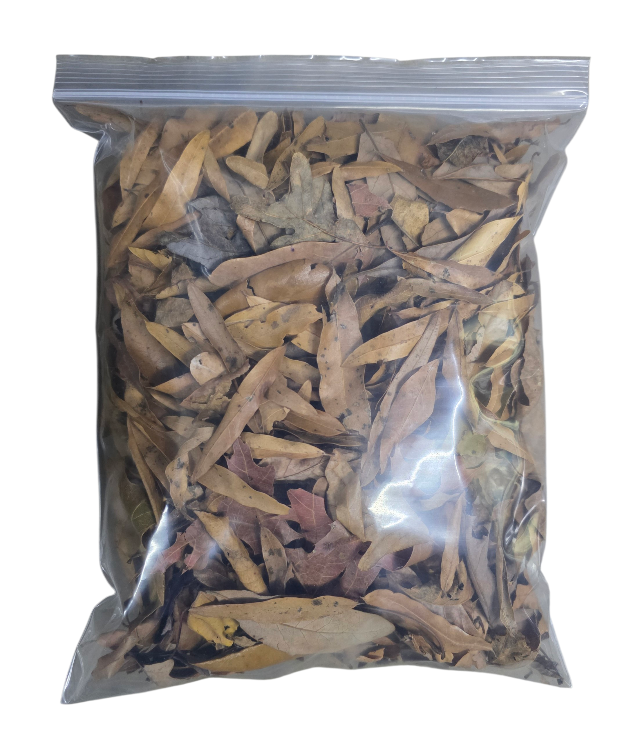 Temperate Leaf Litter - All-Seasons Forest Mix image 2
