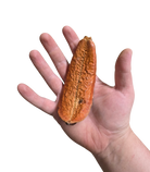 Mountain Pod image 2