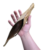 Palm Bract Hide image 2
