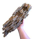 Dragon Wood image 7