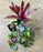 Plant Package - 10 Gallon / 12 x 12 x 18 - BEST SELLER!