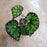 Begonia Persian Brocade