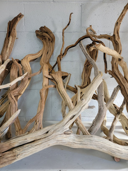 Manzanita (Ghost Wood)
