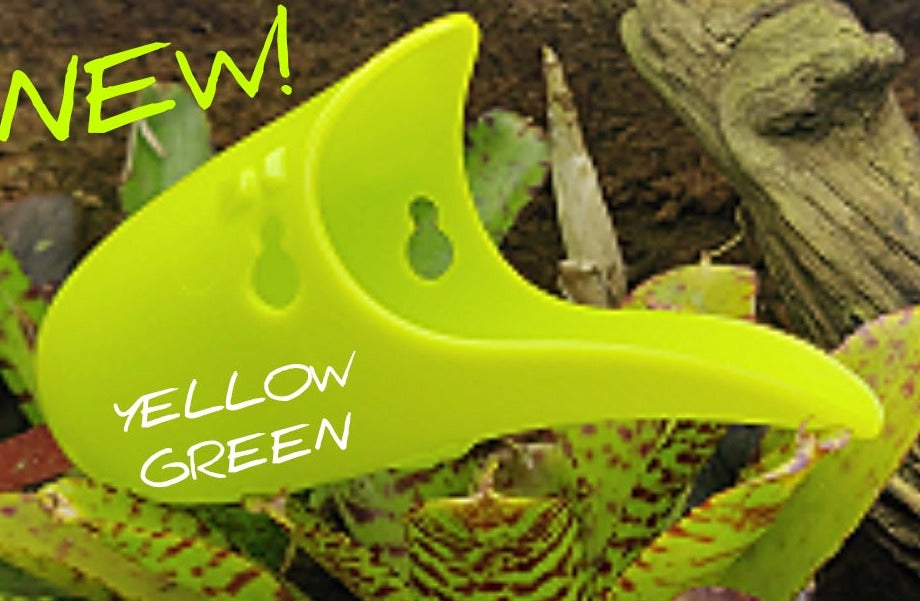 Tad Pool - Lime Green / Yellow Green Vivarium Accessory | FrogDaddy