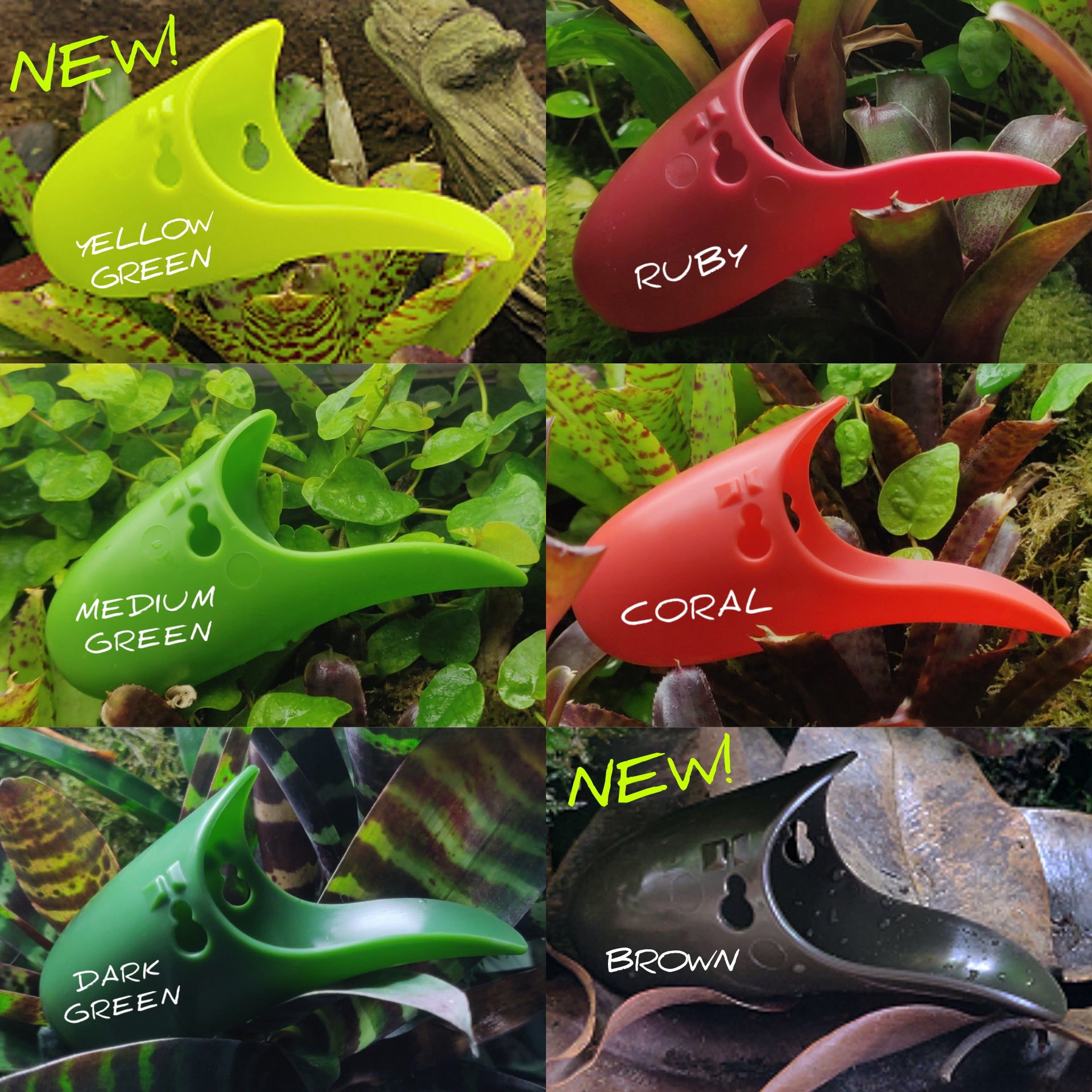 Tad Pool - Lime Green / Yellow Green Vivarium Accessory | FrogDaddy