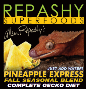 Repashy Crested Gecko Pineapple Express