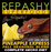 Repashy Crested Gecko Pineapple Express