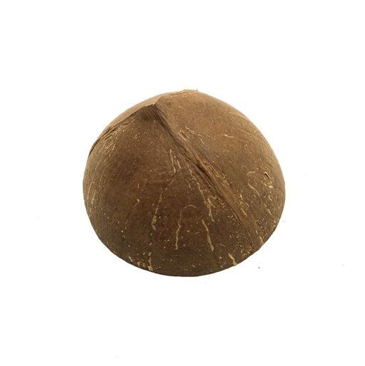 Coconut Half Shell