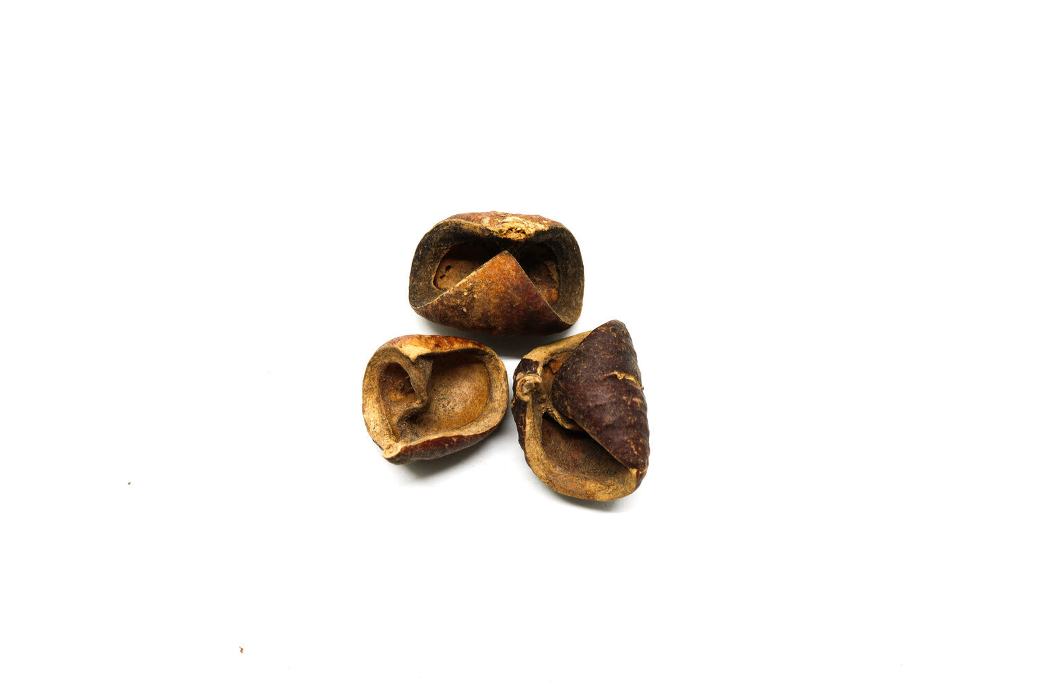 Nut Pod - Mini