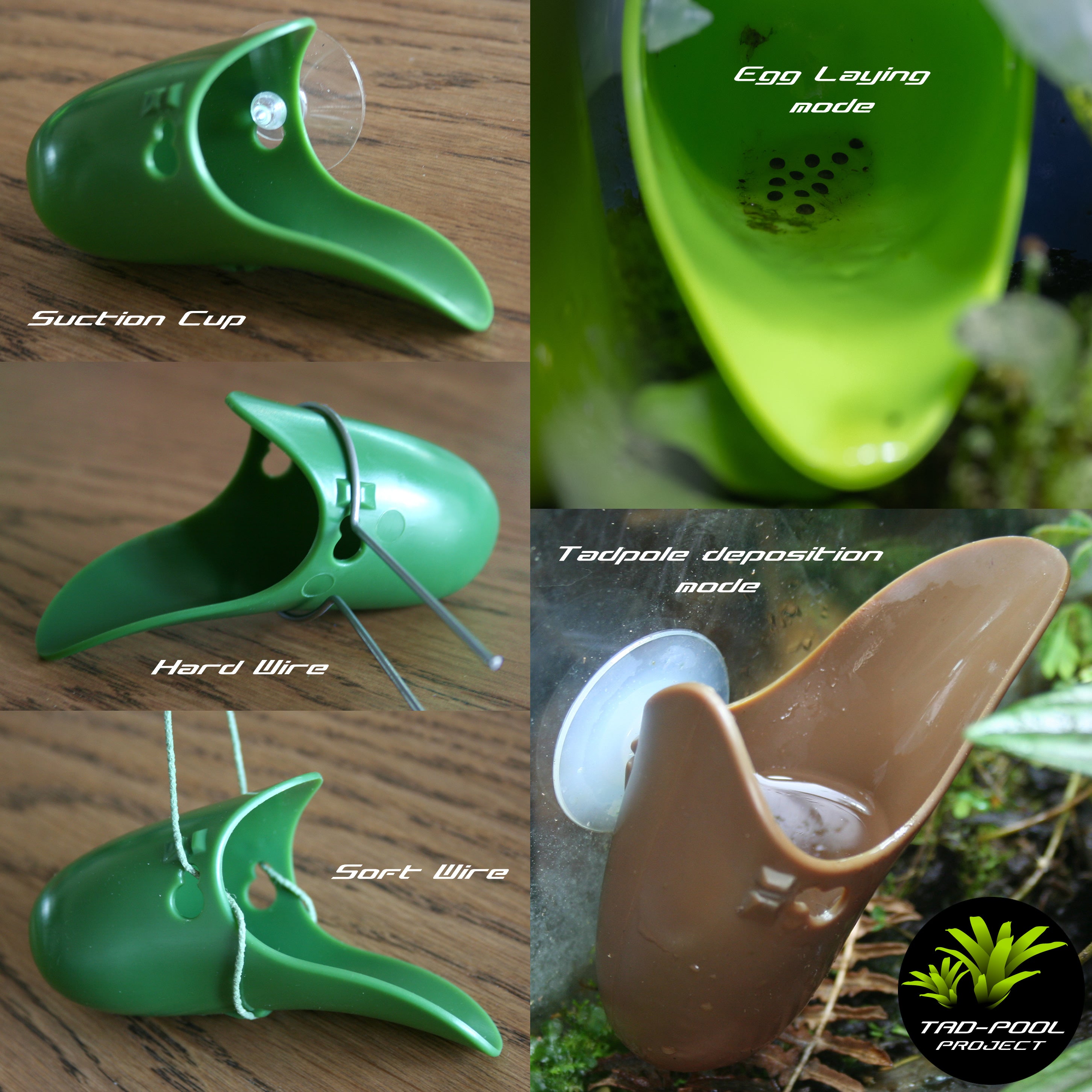 Tad Pool - Lime Green / Yellow Green Vivarium Accessory | FrogDaddy