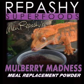 Repashy Crested Gecko Mulberry Madness