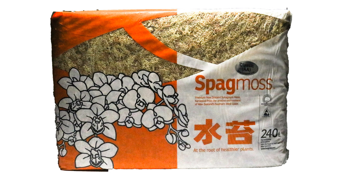 BesGrow 500g New Zealand Sphagnum Moss — FrogDaddy